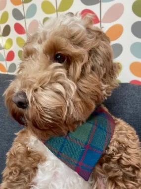 Doggy tartan bandana