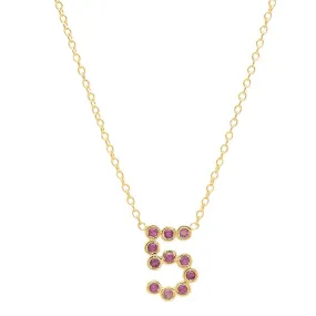 DSJ's Signature Meaningful Number & Birthstone Necklace