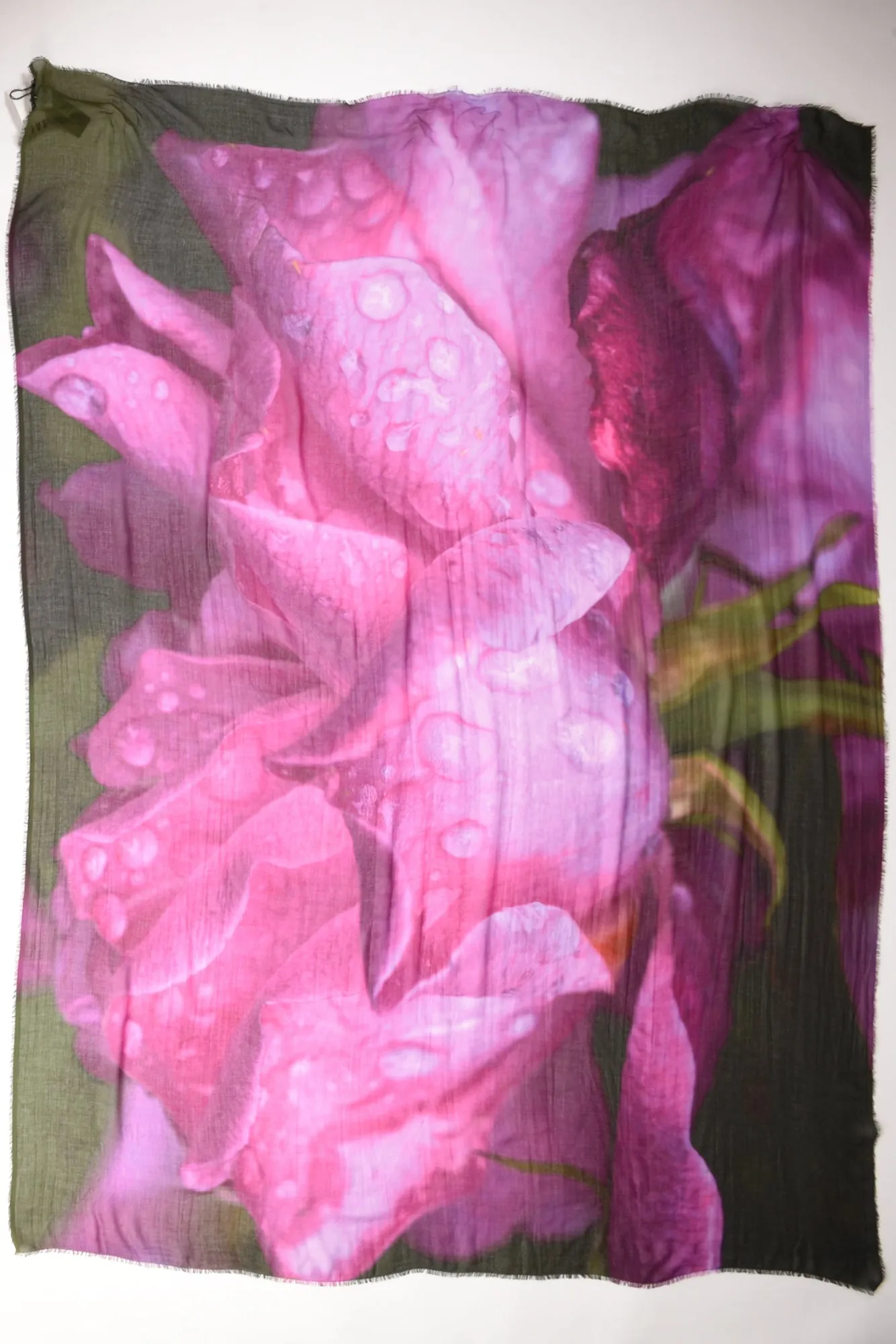 Faliero Sarti Sciarpa Rosa Viola Donna